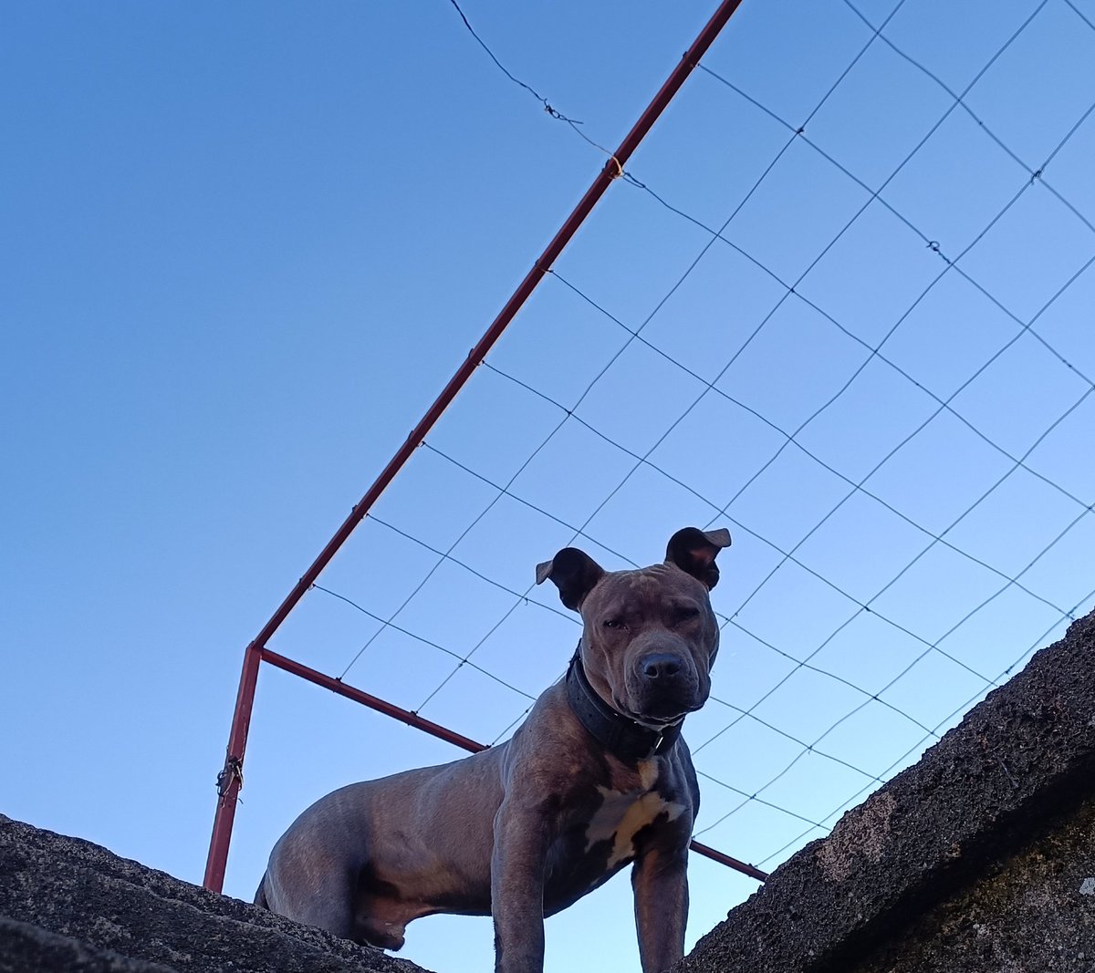 whatcha doin you need something?
walk on home boy