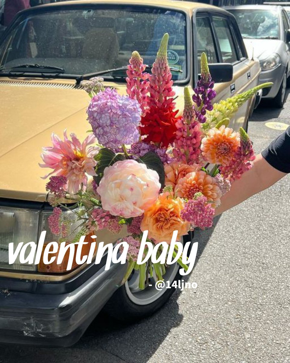 : where in jaem is in 3 situationships and they all gave him flowers for valentines day