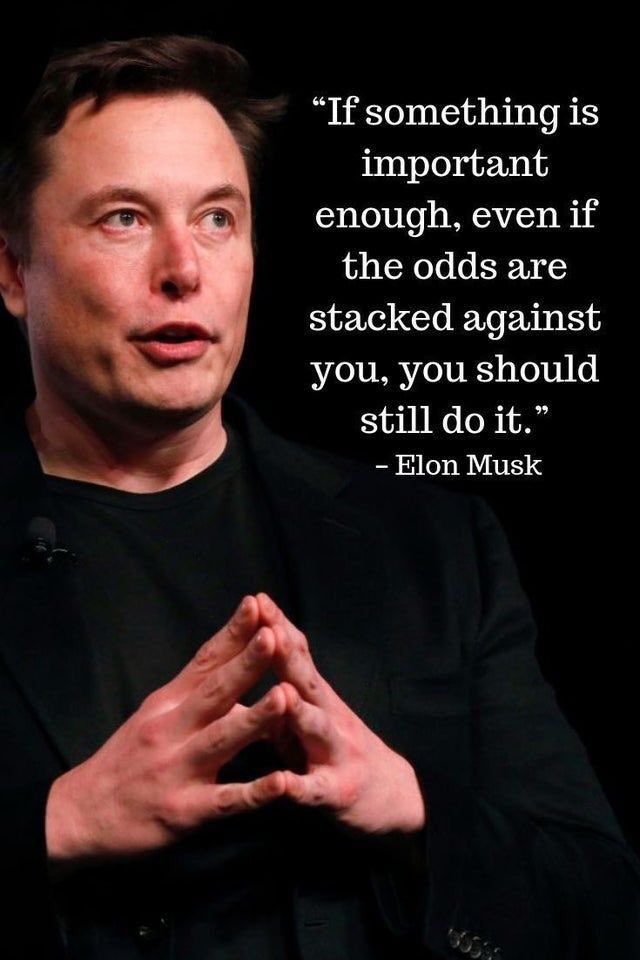 ELON R MUSK (@emusk17059) on Twitter photo 