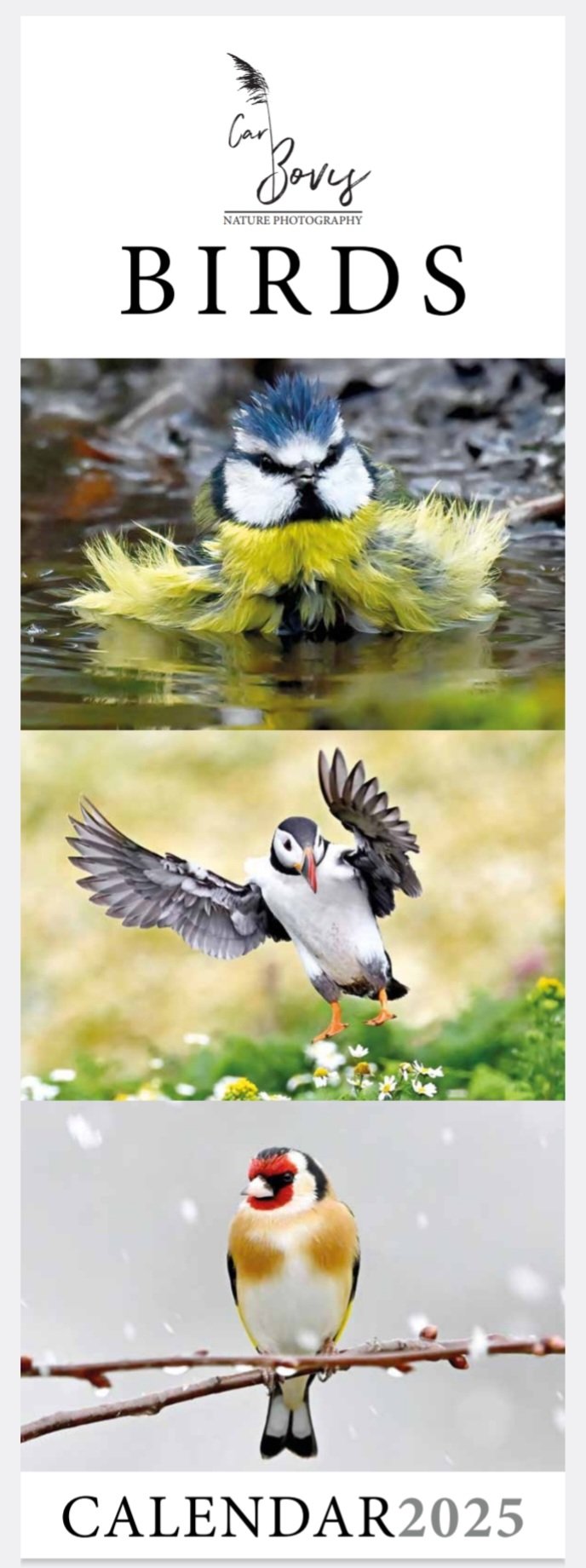 Rspb Bird Calendar 2025 elsa quintina
