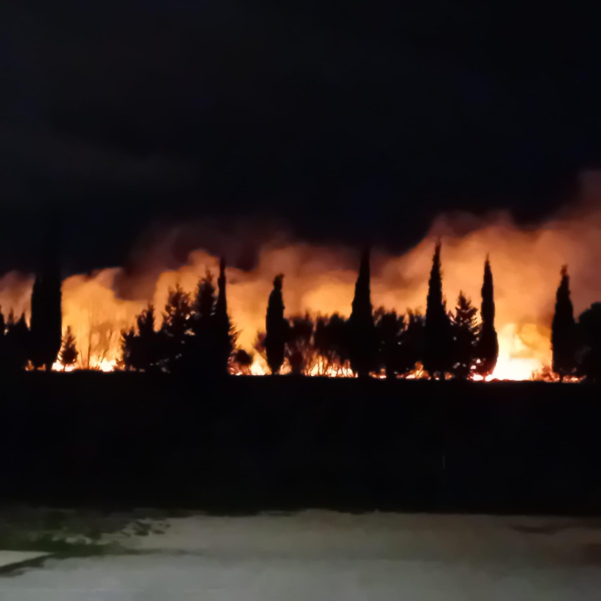 ℹ️🔥 Incendi de vegetació a la zona de les piscines de #Vilafant visible des de #Figueres.

<a href="/bomberscat/">Bombers</a> ja al lloc, informarem de l’evolució.