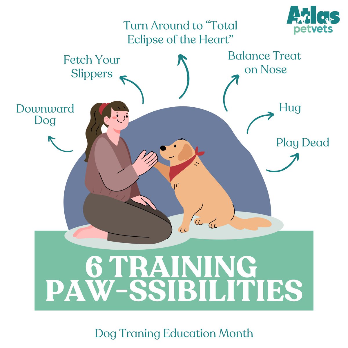 AtlasPetVets's tweet image. Unleash the fun! It&apos;s Dog Training Education Month! 🎉 

Who said training has to be all serious business? Here are 6 silly tricks to teach your furry friend, proving that learning can be fun! 🐶💕
#DogTrainingFun