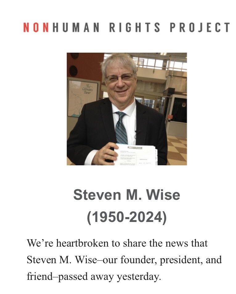 Úna Feely tweet media