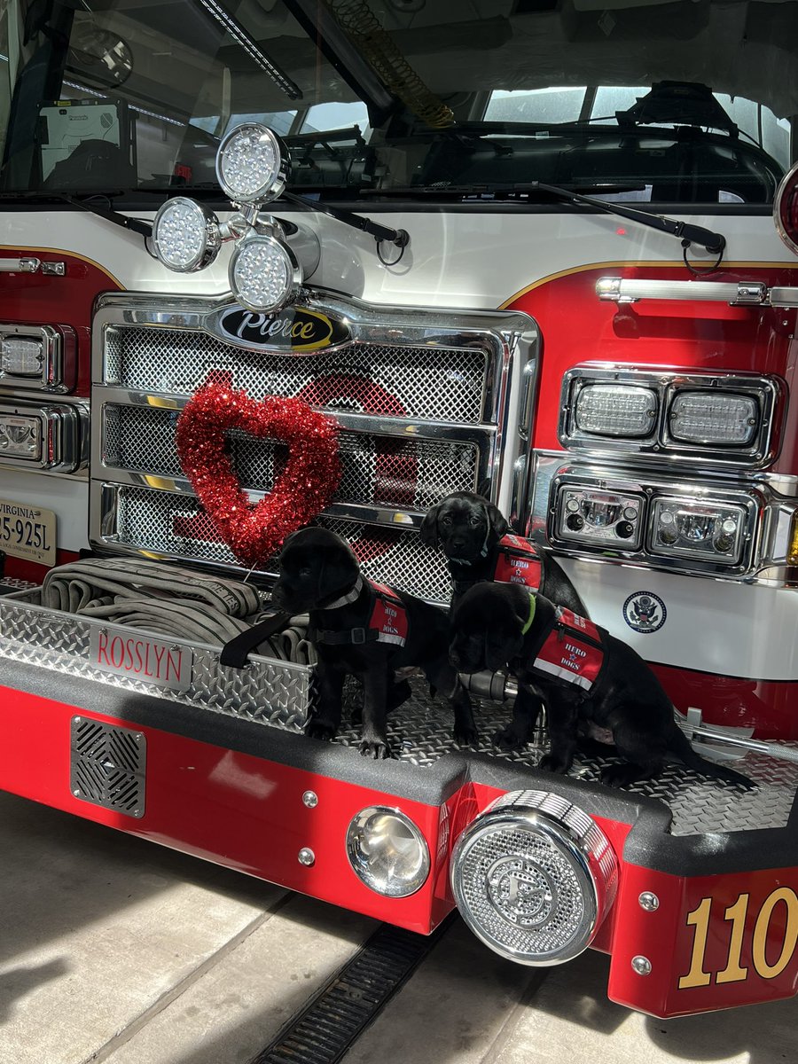 Arlington Fire & EMS tweet media