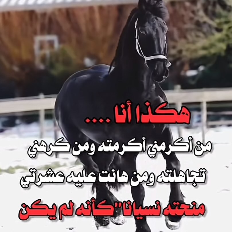 alabbad83 (@alabbad83182218) on Twitter photo 