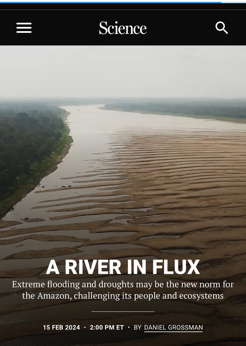 A stunning up-close portrait of the Amazon River basin’s whiplash agony by <a href="/grossmanmedia/">Daniel Grossman</a> in <a href="/ScienceMagazine/">Science Magazine</a> 

Drought and heat are only half of the story of the changes unfolding in the heart of the world’s largest rainforest. Schöngart and collaborators’ research on the river