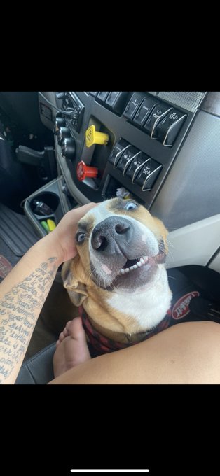 pup thread 🐶🐾 https://t.co/MShK1g4FRR<a href="/tag/nfsw"class="tags"><span>#nfsw</span></a><a href="/tag/halfoff"class="tags"><span>#halfoff</span></a><a href="/tag/onlyfans"class="tags"><span>#onlyfans</span></a><a href="/tag/discountoffer"class="tags"><span>#discountoffer</span></a>