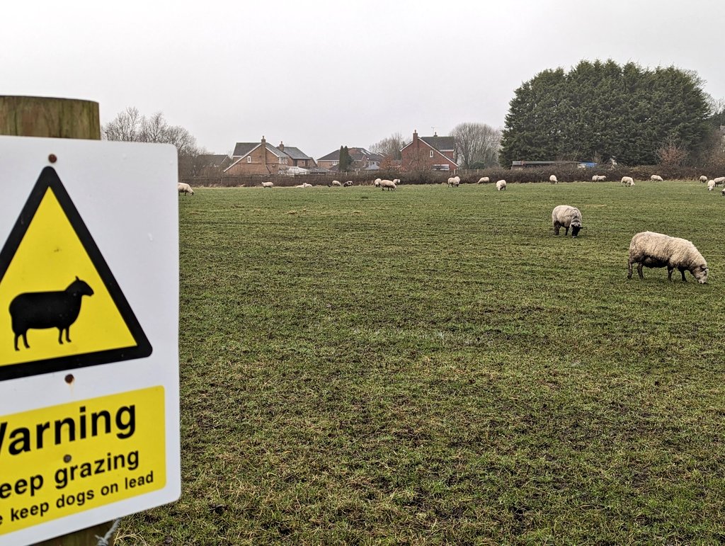 Jeans_Gems's tweet image. "Wait for me, Mum" 🥺🐑🥰 Enjoyed watching &amp;amp; listening to the #SoundsofSpring even if the weather was not at it's best 😕🌧️ @SteveMilner1960 @SuterMrs @mags324 @bullen_jenny @marjori06880886 @mrssusanvjones @clairew12073357 @CheeseAndPickl4