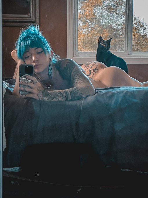 Good morning 🖤🐈&zwj;⬛ https://t.co/z4qVXqZH7q