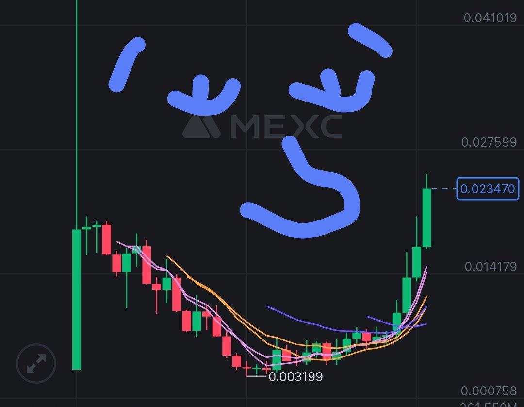 canekmekci's tweet image. just smile ☺️ #ChartArt $HGPT #HyperGPT