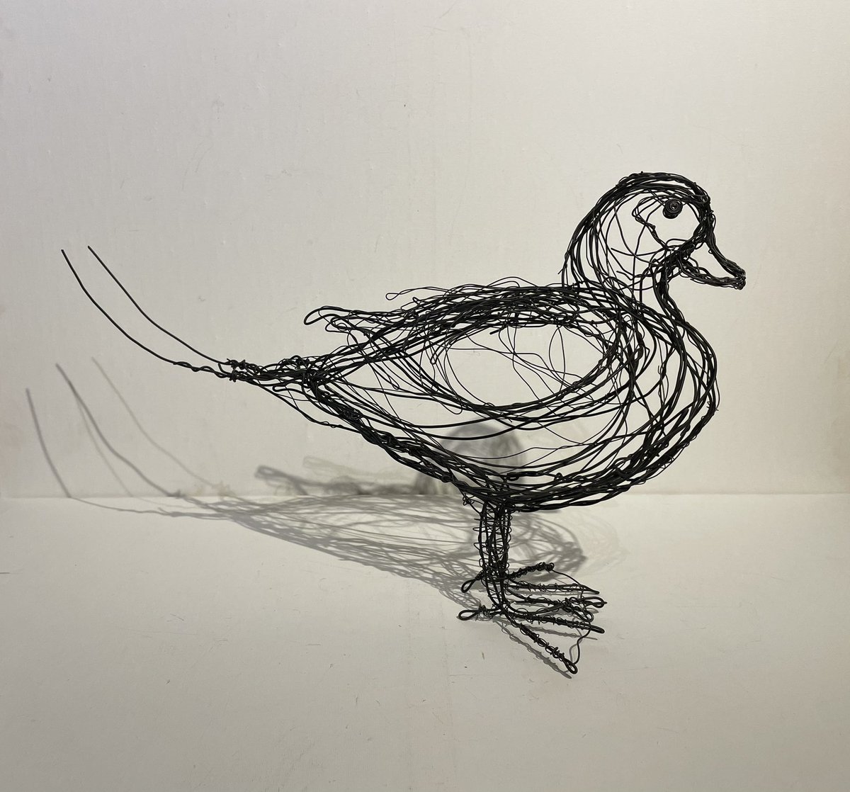 Long Tailed Duck lifesized simple Wire Sculpture.Using only thick old recycled Iron Wire. Very difficult to work with and unkind on your hands. #recycledwireart #wireartist #birdartist #wirebirdsculpture #art #longtailedduck