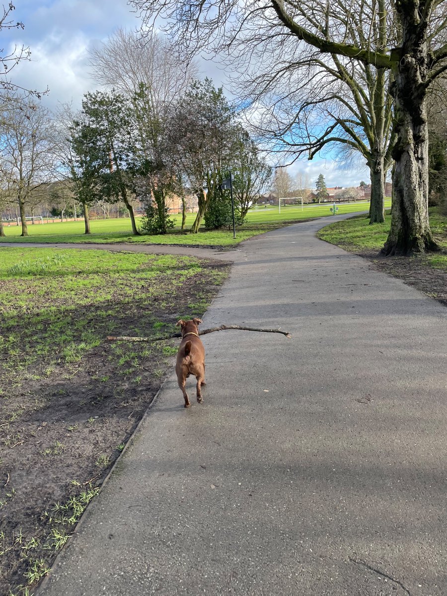The best start to half term… time spent with the little man in the sunshine ☀️