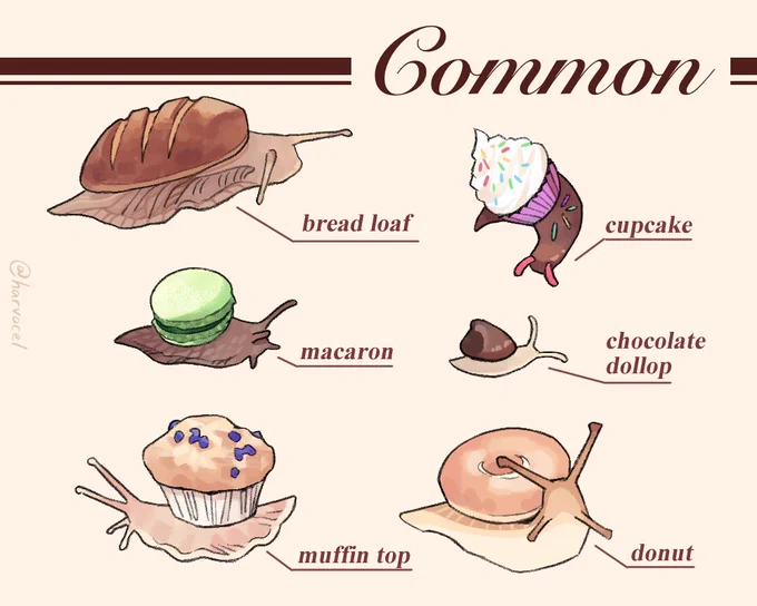 snastries (snail pastries) 