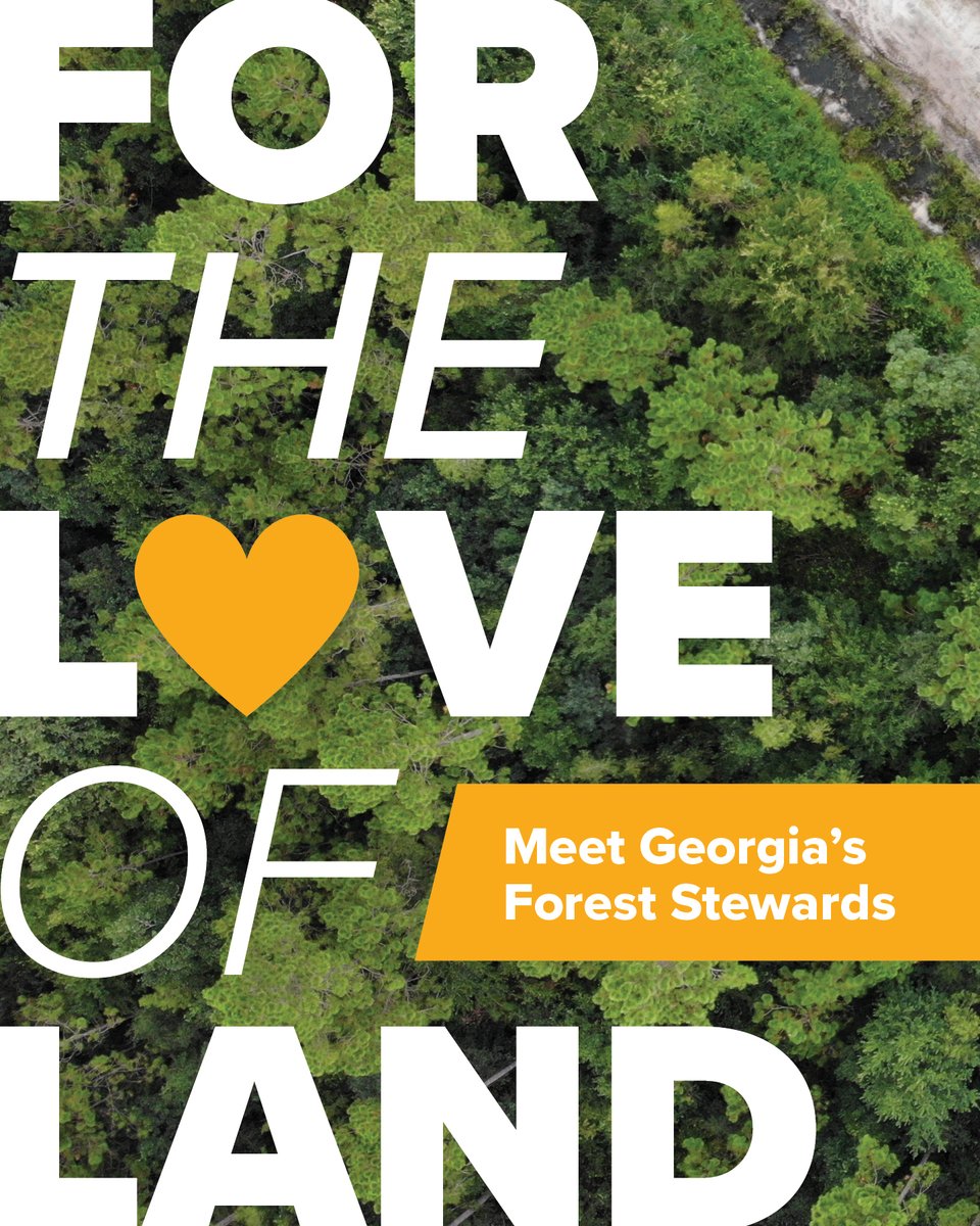 Georgia Forestry Foundation tweet media