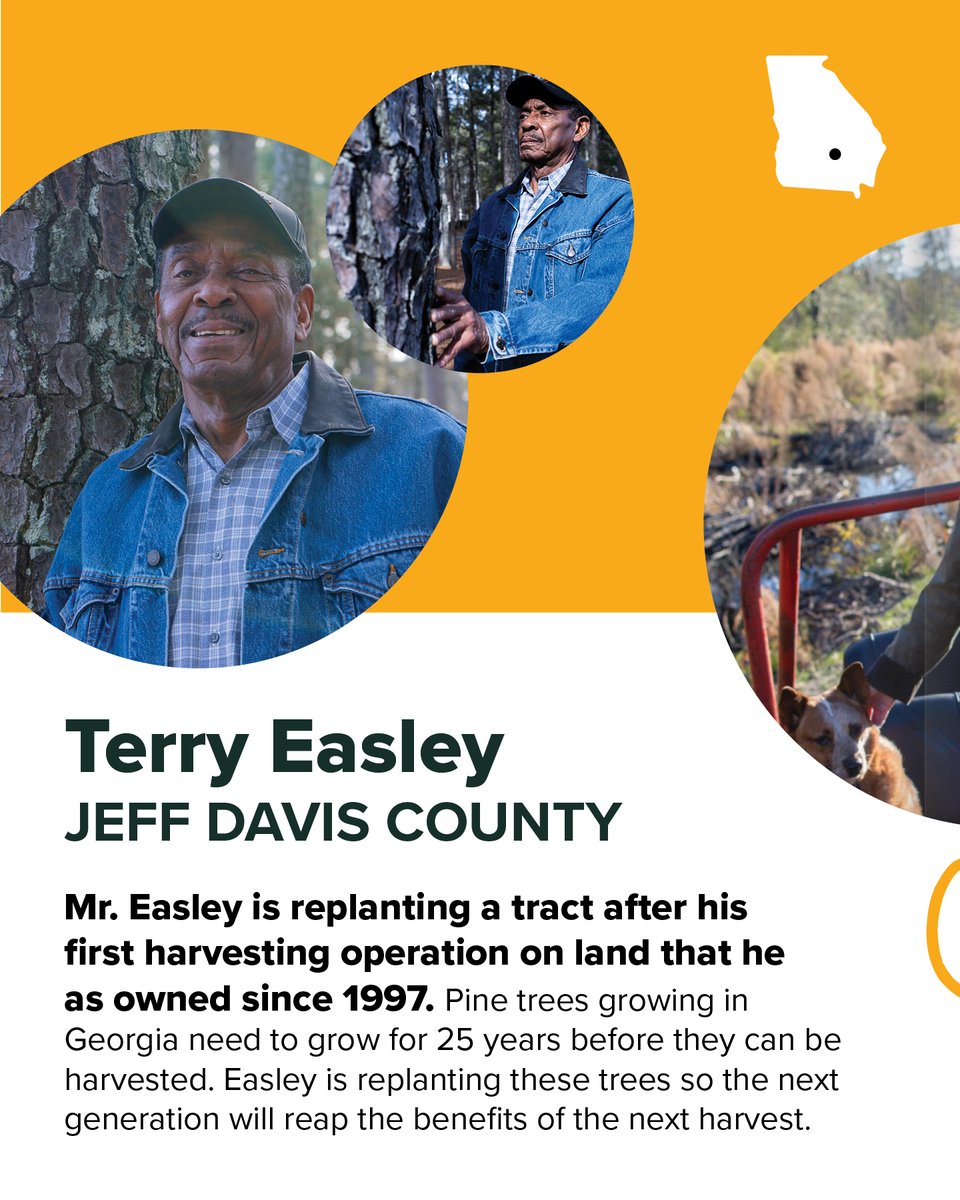 Georgia Forestry Foundation tweet media