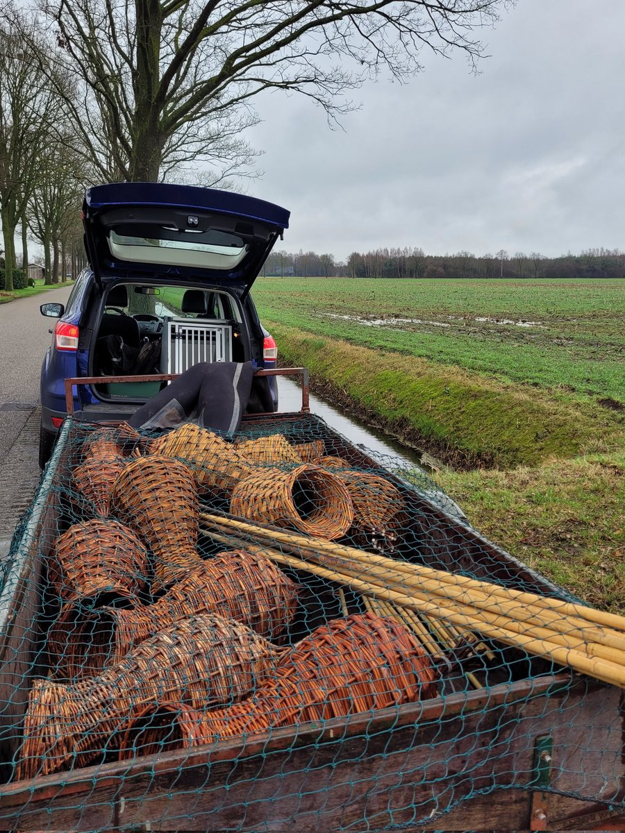 WilliamvdVeen's tweet photo. Het is weer de tijd van het jaar om #broedkorven voor de wilde eenden te plaatsen. Vorig jaar groot succes, dus we plaatsen er weer wat extra.

#eenden #eendenkorven #Vechtdal #jagersdoenmeer https://t.co/c2ghFNSB4m