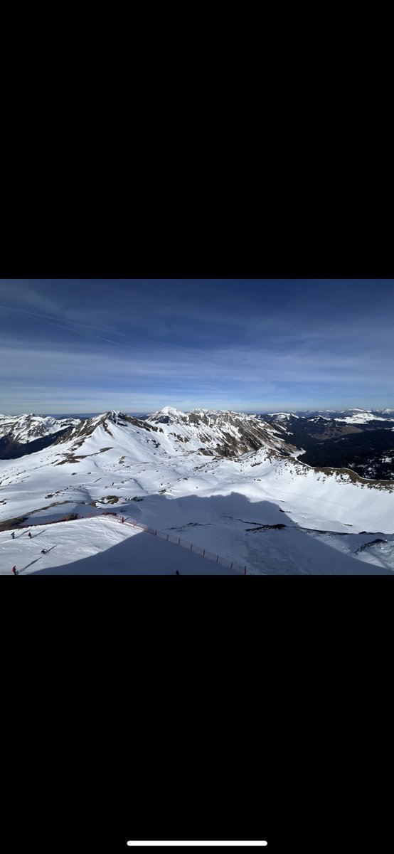 Ross Wilson tweet media