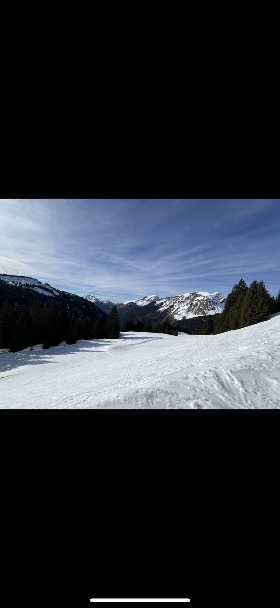 Ross Wilson tweet media