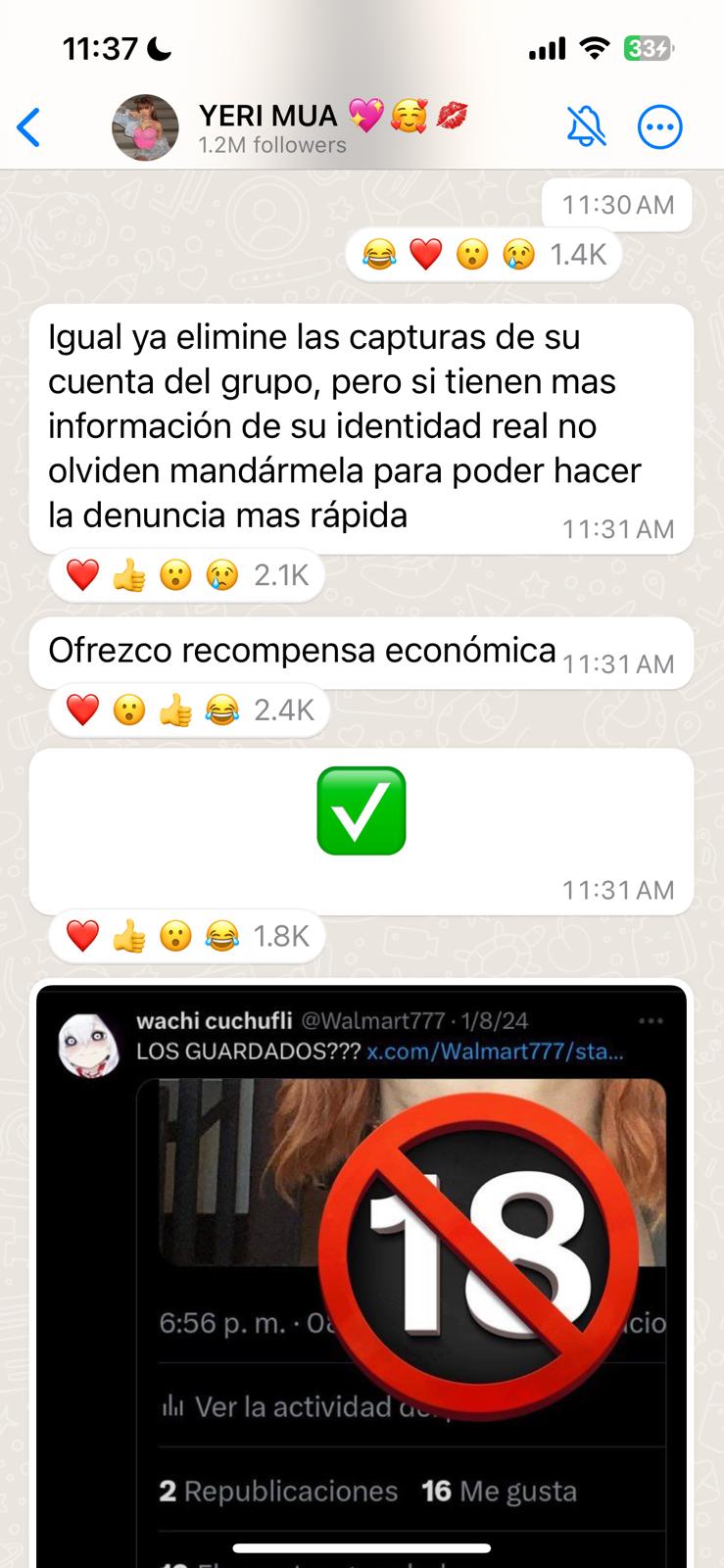 𖥻Ani 🧁 on X: Yo no sé si esta es tarada o neta piensa q esta haciendo  algo bueno, pedía información de un menor, dice q borro la captura con el  nombre