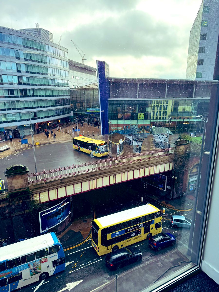 ericasmart's tweet photo. Beautiful day in Manchester 🐝 with @NHSLeadership #ActionLearningSets #ActionLearningFacilitator https://t.co/R1vrjAz2qL