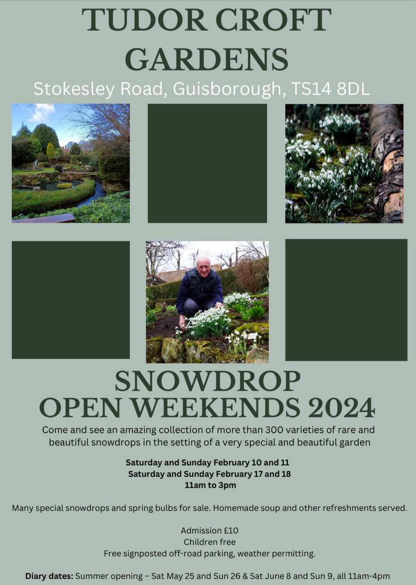 A superb article by the hugely knowledgeable @Echochrislloyd about the James Backhouse #snowdrops - you can see them tomorrow and Sunday between 11:00 and 3:00 at Tudor, Croft, Guisborough #Galanthophile
