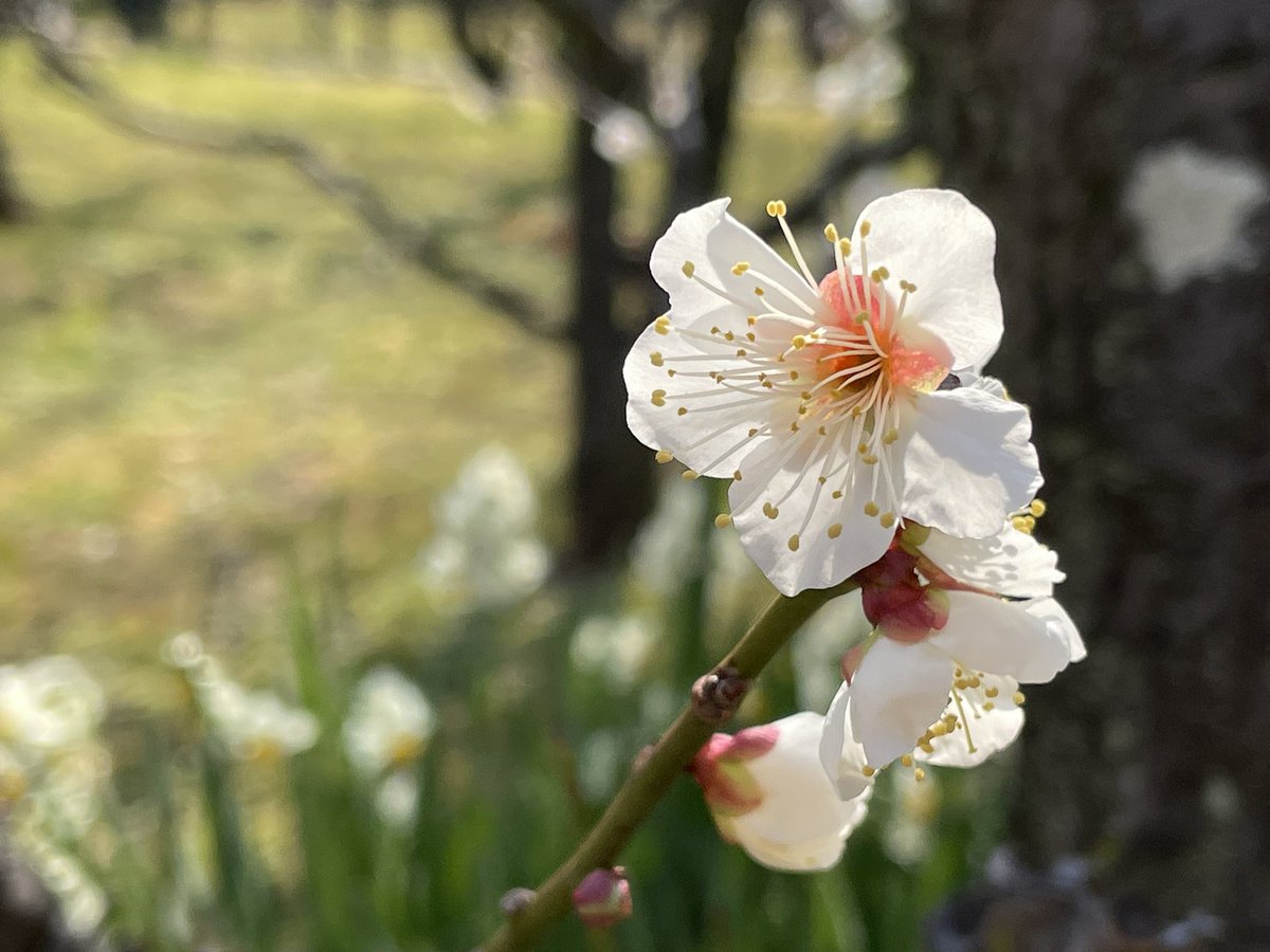 おはようございます。 2月17日、土曜日。 今日もファイトで行きましょう。 皆様、どうぞよろしくお願いいたします。