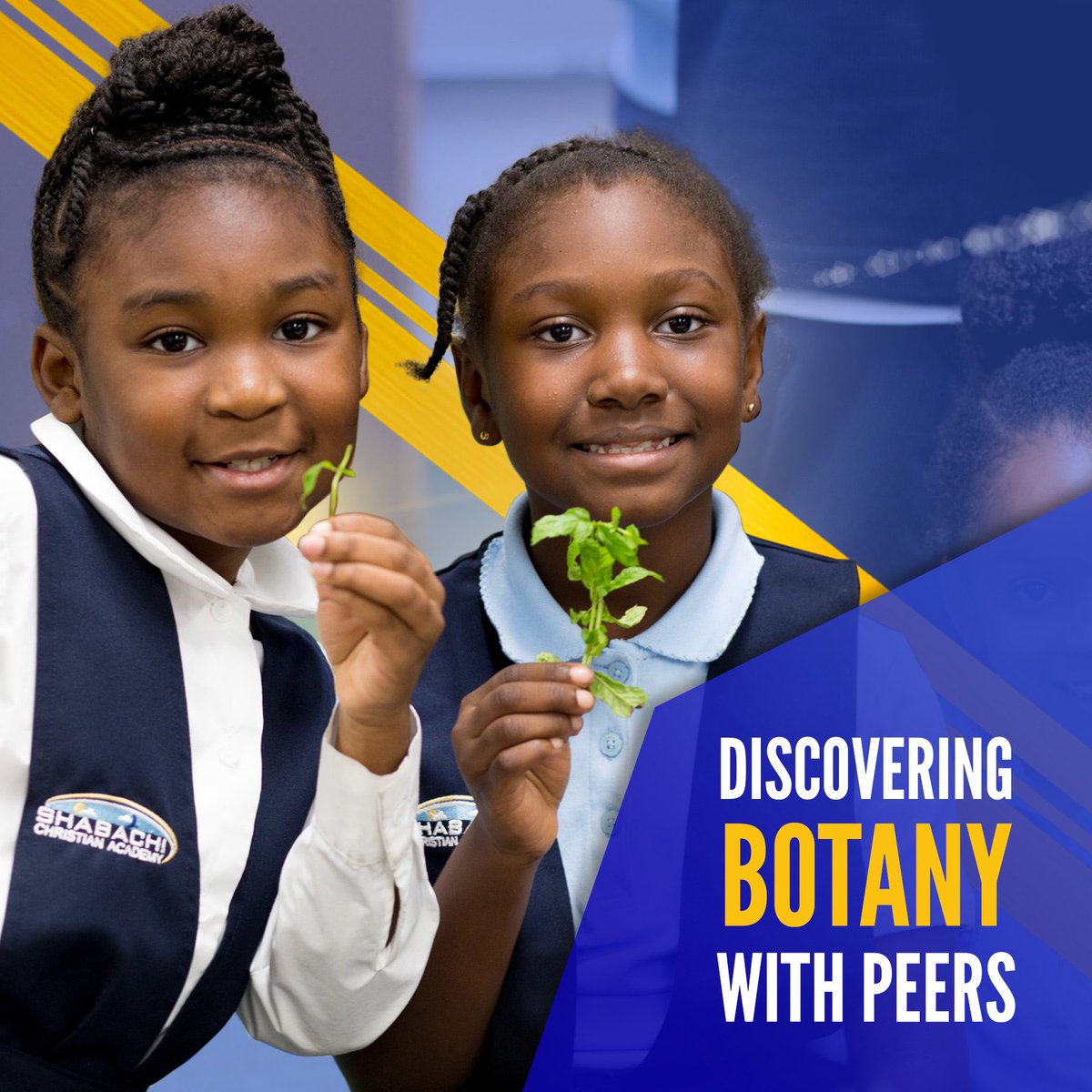 Friendship, botany, learning… oh my!!