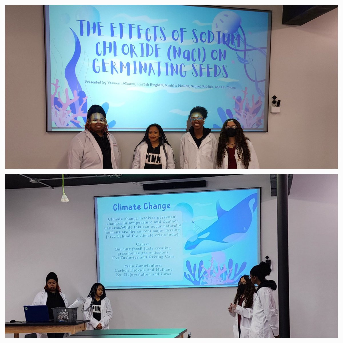NS_ECSU's tweet photo. Community outreach to Port Discover by the Natural Sciences Club #ECSU.  Grad student Kanisha and undergrads: Cai'yah, Sydney, and Yasmeen did a program on salt 🧂 effects on germinating seeds.  Data will be collected over a week.  Tied to climate change 🌊 #ECSUVikingsScience https://t.co/Aqok1DaEwf