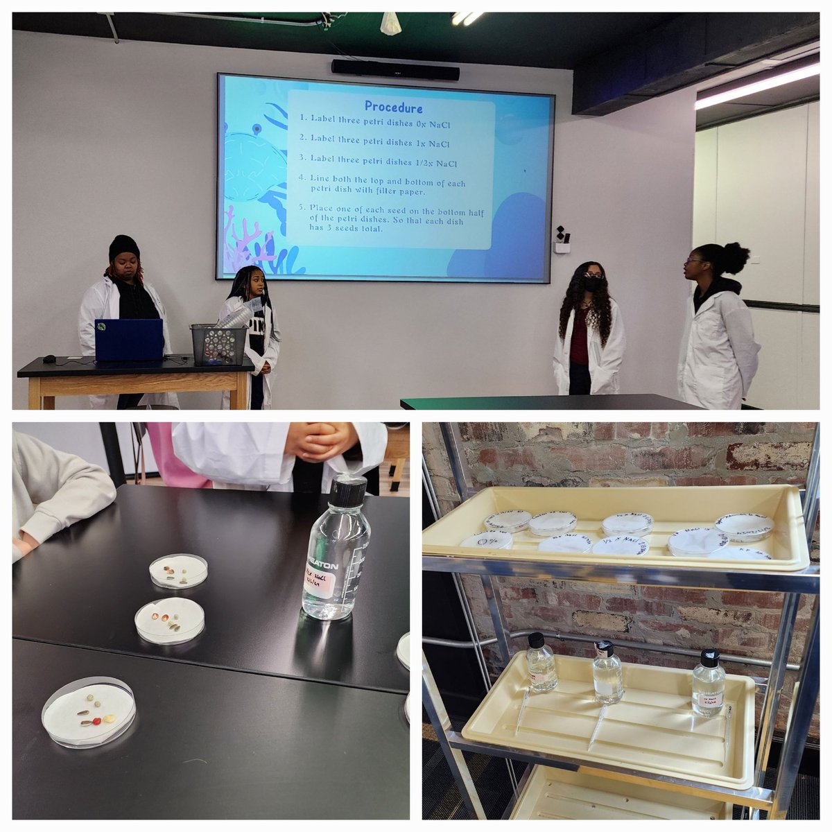 NS_ECSU's tweet photo. Community outreach to Port Discover by the Natural Sciences Club #ECSU.  Grad student Kanisha and undergrads: Cai'yah, Sydney, and Yasmeen did a program on salt 🧂 effects on germinating seeds.  Data will be collected over a week.  Tied to climate change 🌊 #ECSUVikingsScience https://t.co/Aqok1DaEwf