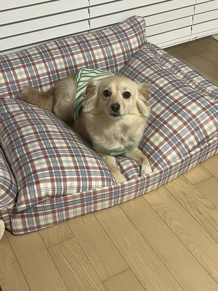 ㅋㅋㅋㅋㅋㅋㅋㅋㅋㅋㅋㅋ