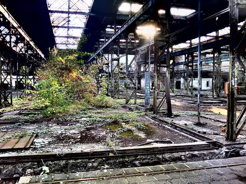 𝗣𝗮𝗿𝗮𝘃𝗮𝗻 tweet media