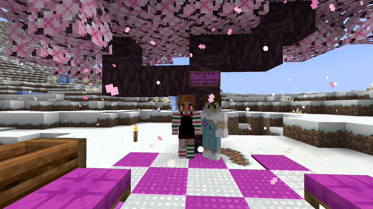 Viipy_'s tweet photo. Me and the rest of the #StrandedSMP cast are currently reminiscing today I can’t believe it’s going to be over so soon (here are some funny pictures) https://t.co/4YlghdV69o