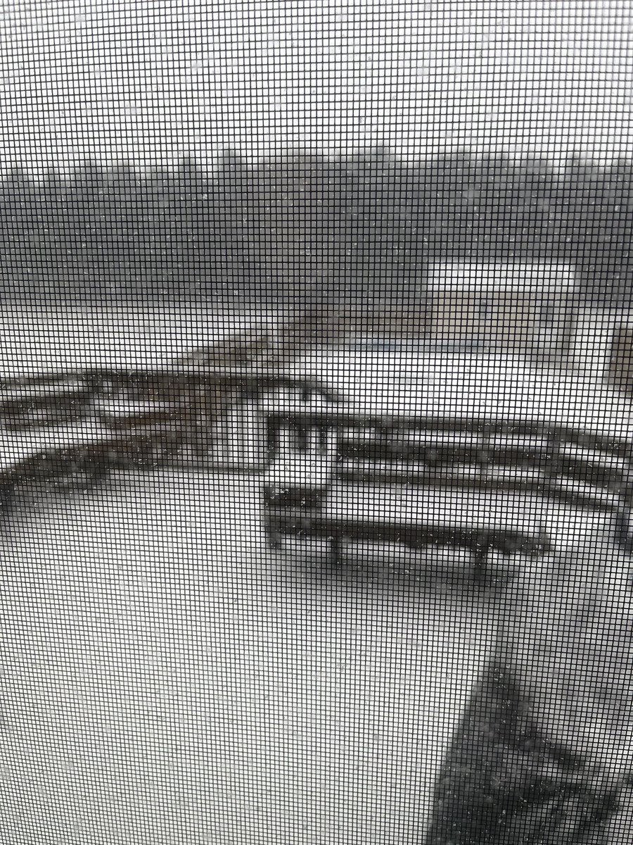 RyanAshhomes's tweet photo. The Suncast Steelcore 27” Pusher has seen better days but it got the job done again!!  🤔with that done anybody thinking about moving to warmer weather?!?  ☎️517-861-6693 or 📧 coachash@bunnwarren.com  Lets see what’s your home is worth !!  ☃️or 🌞 https://t.co/LEHZuYZd8W