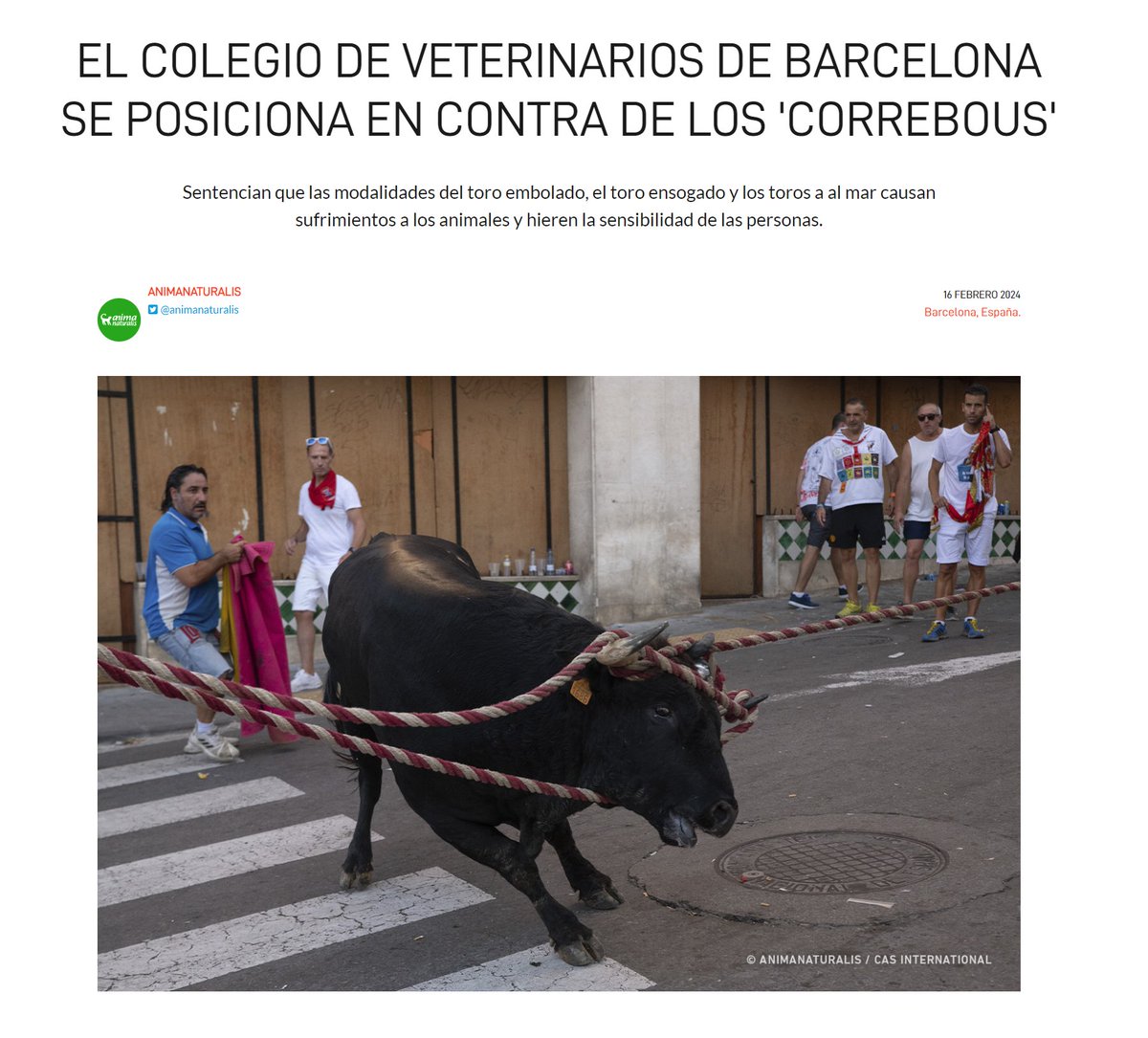 🔵 ÚLTIMA HORA | El Colegio de Veterinarios de Barcelona se posiciona en contra de los 'correbous' 

Con motivo de la tramitación en el Parlament de Catalunya de una proposición de ley para eliminar las modalidades de toros a la mar, el toro ensogado y el toro embolado, la nueva