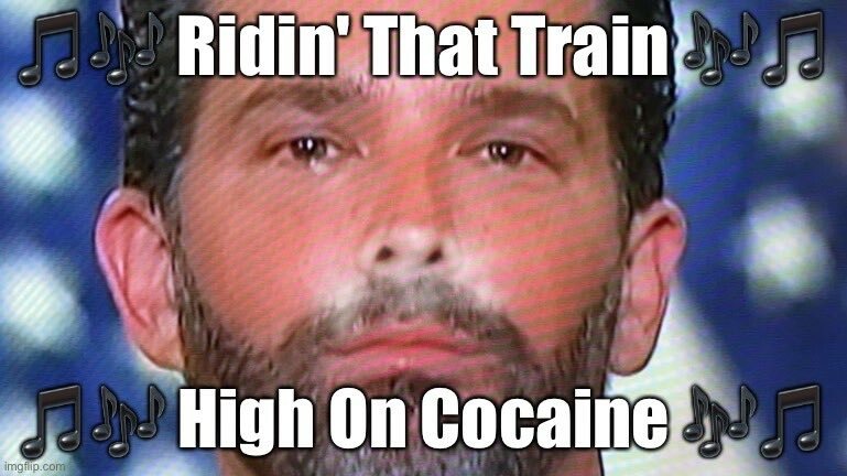 lisahen66's tweet photo. @DonaldJTrumpJr @mtaibbi https://t.co/VyYZ669dT0