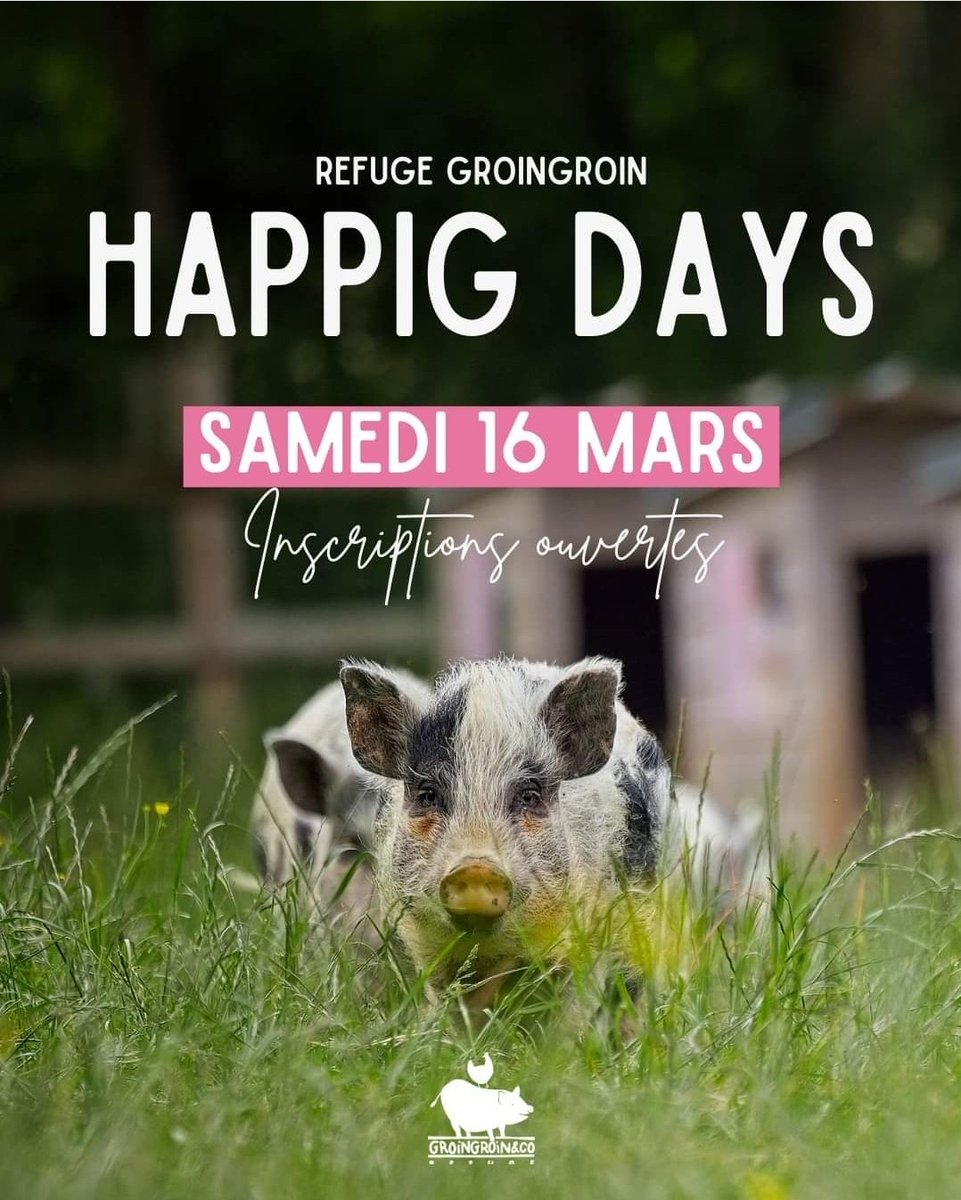 Refuge GroinGroin&Co 🐷 tweet media