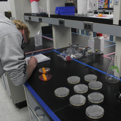 Students of Project Lead the Way (PLTW) Biomedical Sciences are working to complete what is known as their capstone project. The importance of these projects are to not only showcase all you’ve learned in your time at CCST but it is also a graduation requirement.