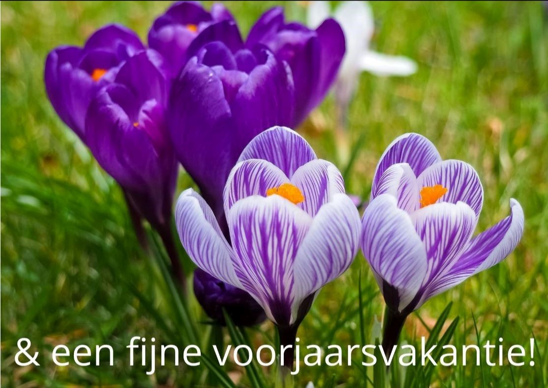 senediever's tweet photo. Namens alle medewerkers van S&amp;E Diever een hele fijne voorjaarsvakantie gewenst!  #voorjaar #krokus #vakantie https://t.co/Ctk49cfaq8