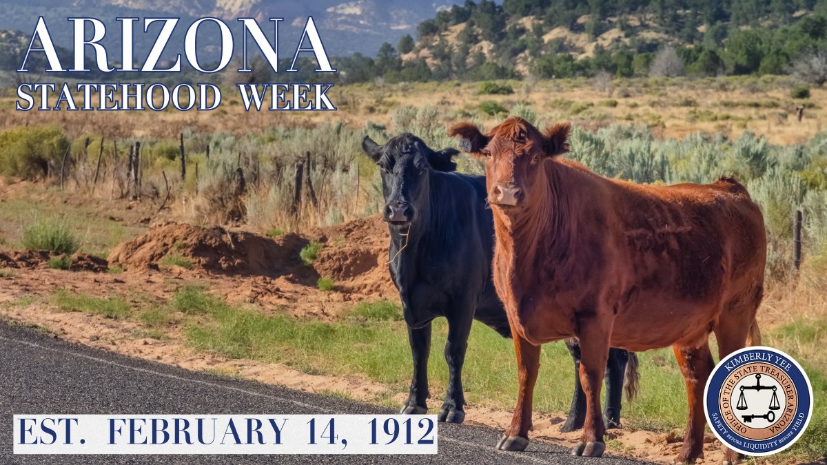 Arizona ‘C’ of the Day: There are over 7,000 farms and ranches with #Cattle in Arizona, and over 980,000 cattle and calves in the state. Cattle are raised in every county in Arizona! #AZStatehoodWeek | @AZTreasurerYee