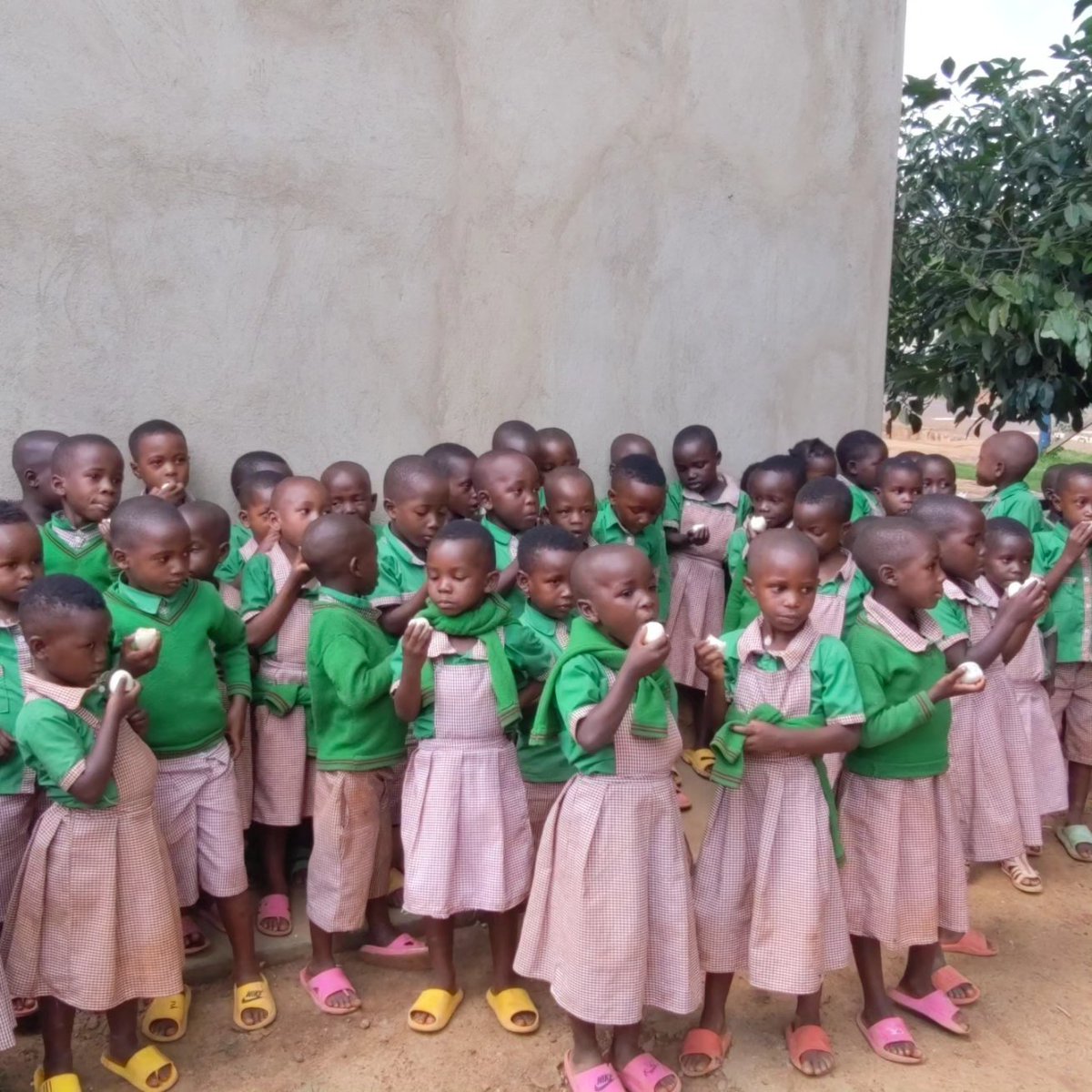 HirwaFoundatio's tweet photo. 🥚🌟 Today at Hirwa Children Foundation 🌟🥚

Our pre-school students enjoyed nutritious boiled eggs today, thanks to our hen project! Fighting malnutrition one meal at a time. 🍳💪 #HirwaChildrenFoundation #NutritionMatters #CommunitySupport https://t.co/iZcB7x5QBj