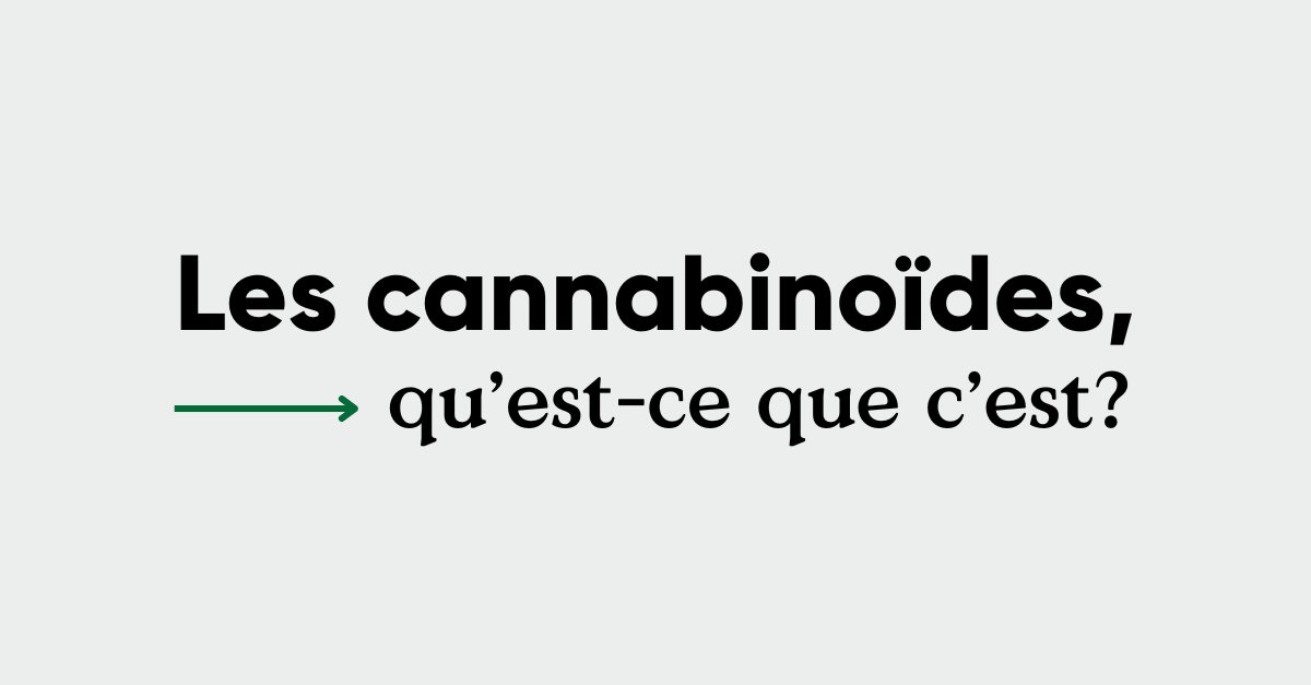 Principalement présents dans les trichomes, les cannabinoïdes sont des composés chimiques naturellement produits par la plante.

Envie d’en savoir plus sur les cannabinoïdes majeurs et mineurs? 👉bit.ly/3UHS9dy