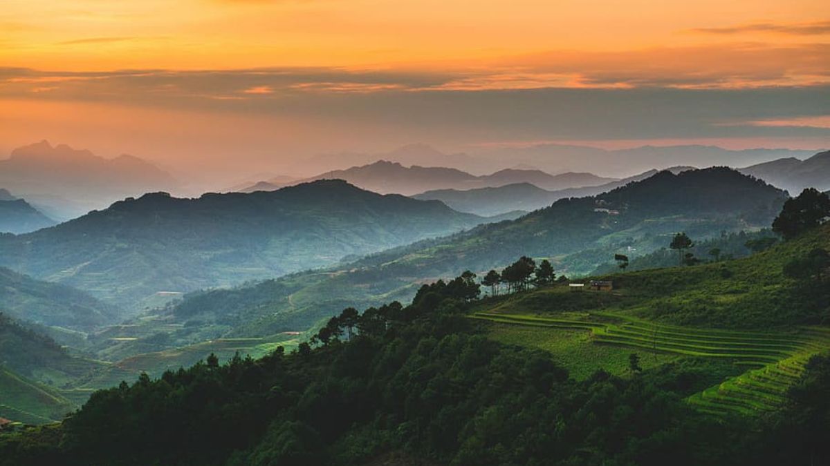 Ana Taylor tweet media