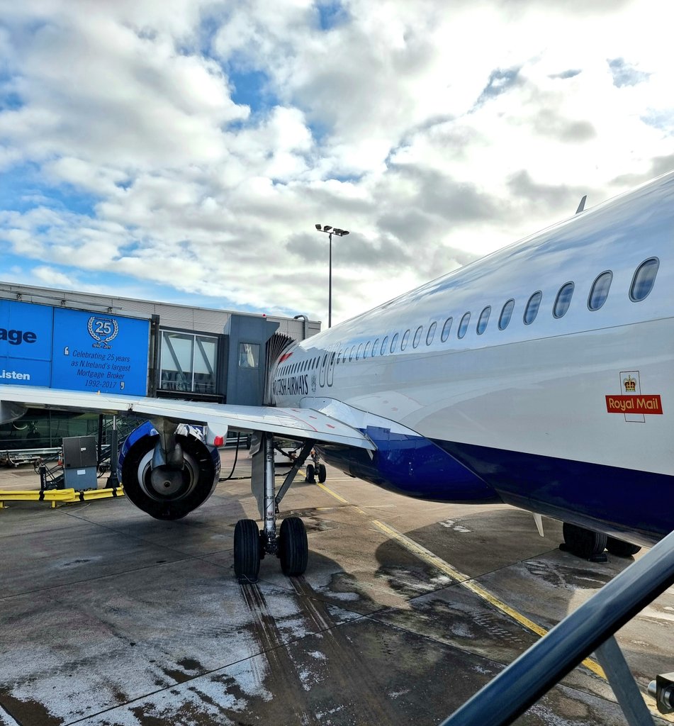 NeoSim Team tweet media