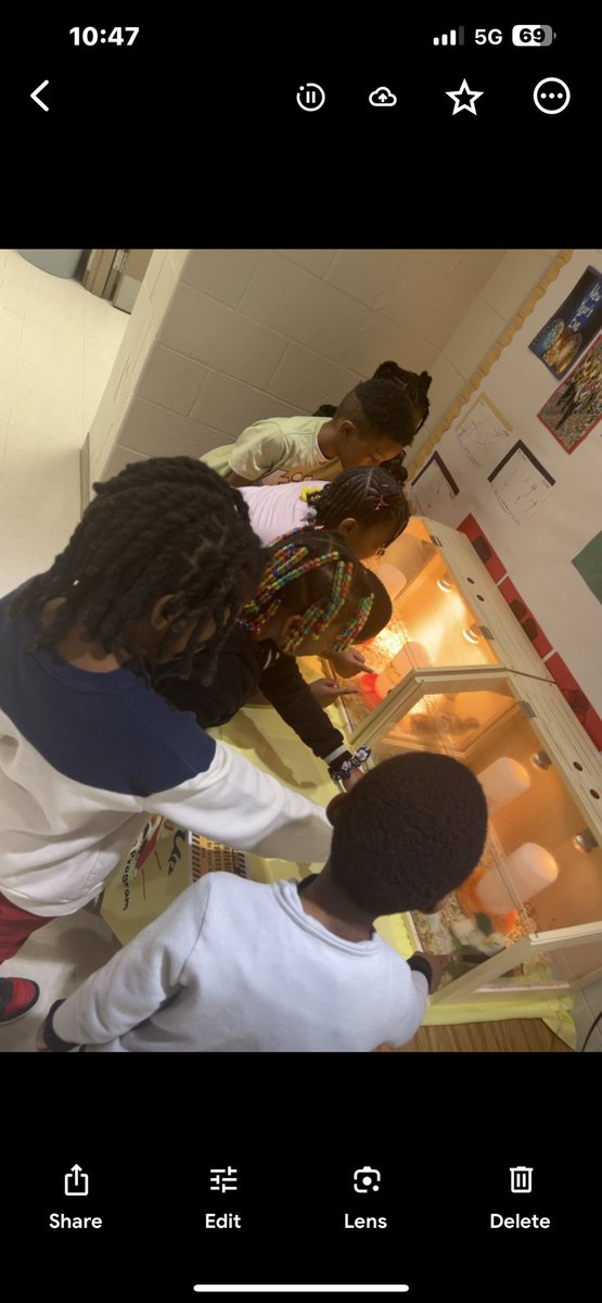 Sharing our chicks with our Boyd family after learning about the circle of life!