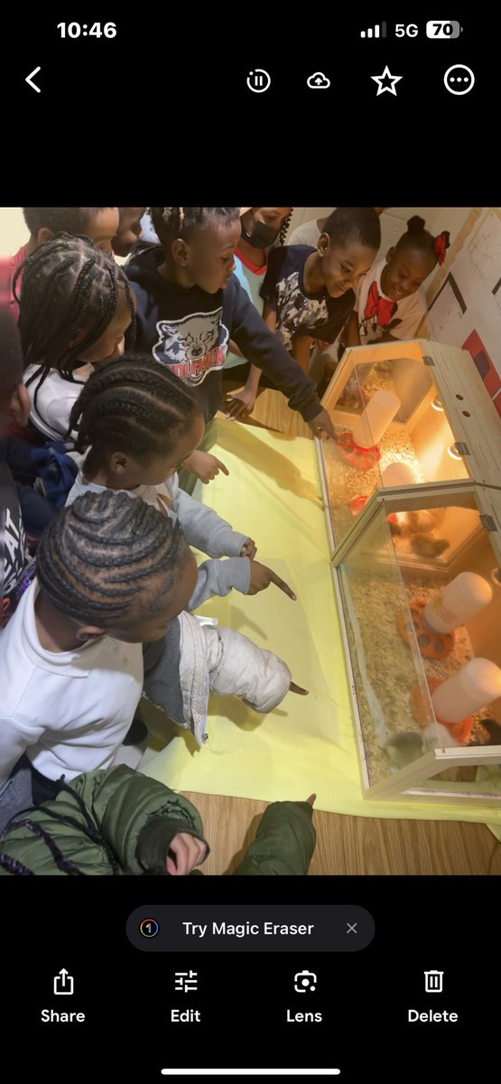 PritchPreKBoyd's tweet photo. Sharing our chicks with our Boyd family after learning about the circle of life! https://t.co/kSiudQ3E8M