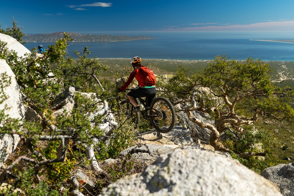 IbisCycles's tweet photo. Escape for a minute with our photo recap of our first Ibis Migration in Baja, Mexico! Read the full recap here: https://t.co/ssVRU6XwEV
PROTIP: Like what you see? Look out for an important announcement coming soon!
#ibismigration #bajamexico #ibiscycles https://t.co/hDoBROdIAe