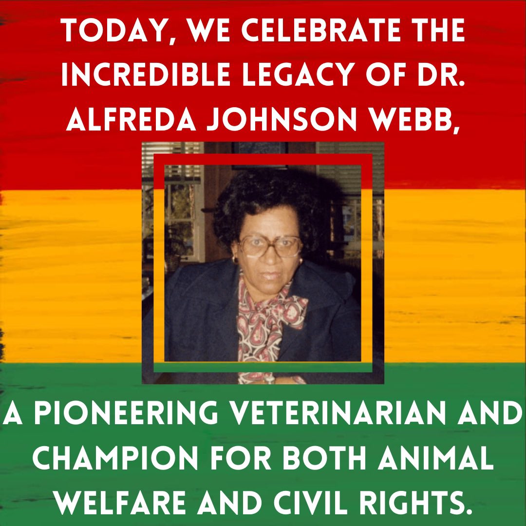🌟 Honoring Dr. Alfreda Johnson Webb for #BlackHistoryMonth 🌟
 
Dr. Webb made history as the first African American woman to earn a Doctor of Veterinary Medicine degree, graduating from the Tuskegee University School of Veterinary Medicine in 1949.
Created with <a href="/amcny/">The Schwarzman Animal Medical Center</a>