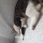 Photo by Minou Perdu (@PerduMinou)
