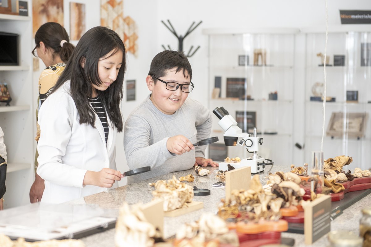 ccdelaciencia's tweet photo. 🍄Descubrí todo sobre los hongos en #MundoFunga: sus texturas, sus olores, sus aplicaciones y su rol para mantener la vida en la Tierra.
📍Laboratorio | 4° piso
🗓️Viernes a domingos de 13 a 19 h
🚶Recorrido libre, no requiere inscripción https://t.co/uwBmugxk7T