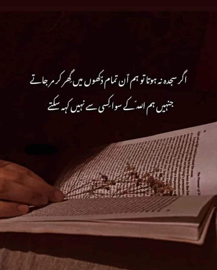 A.o.a
Good night 😴😴..
Have a sweet dreams 😘😘..
#INDvsENG